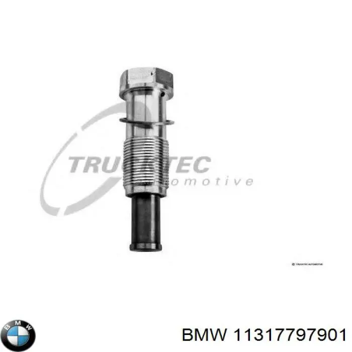 11317797901 BMW tensor, cadena de distribución