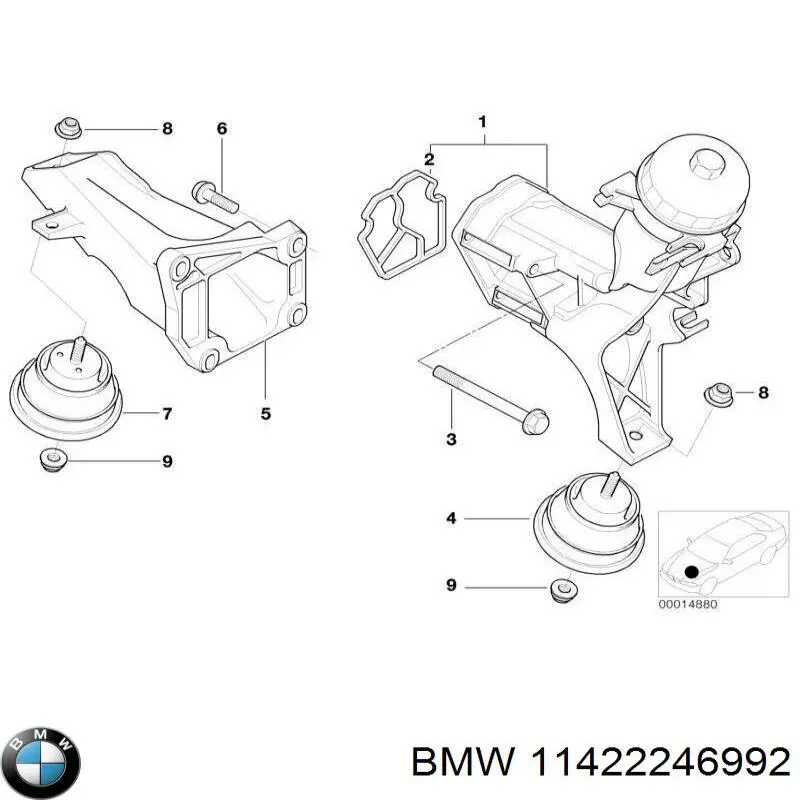 11422246992 BMW caja, filtro de aceite