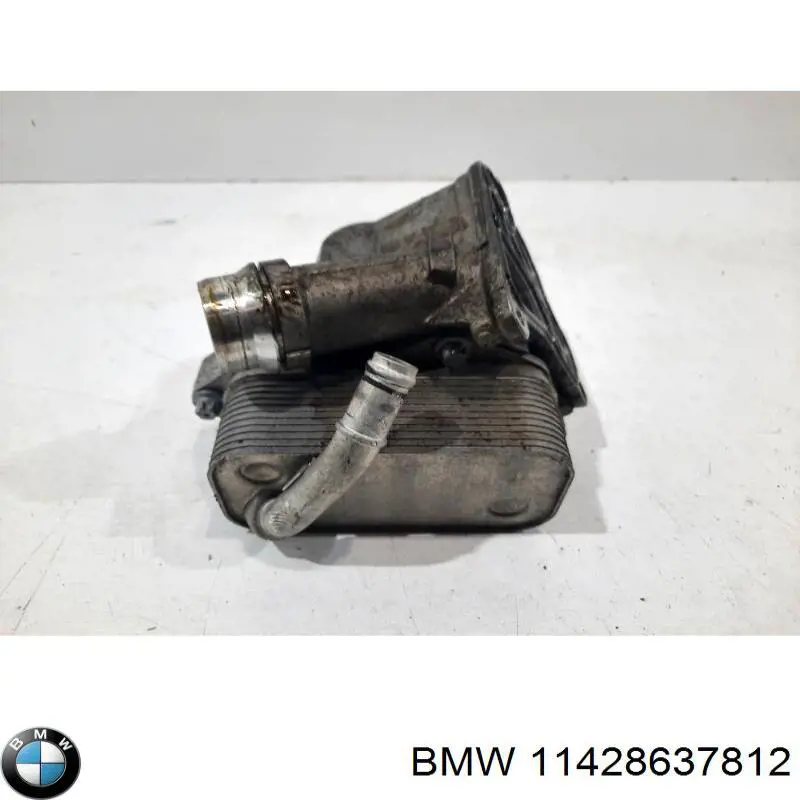 11428637812 BMW caja, filtro de aceite