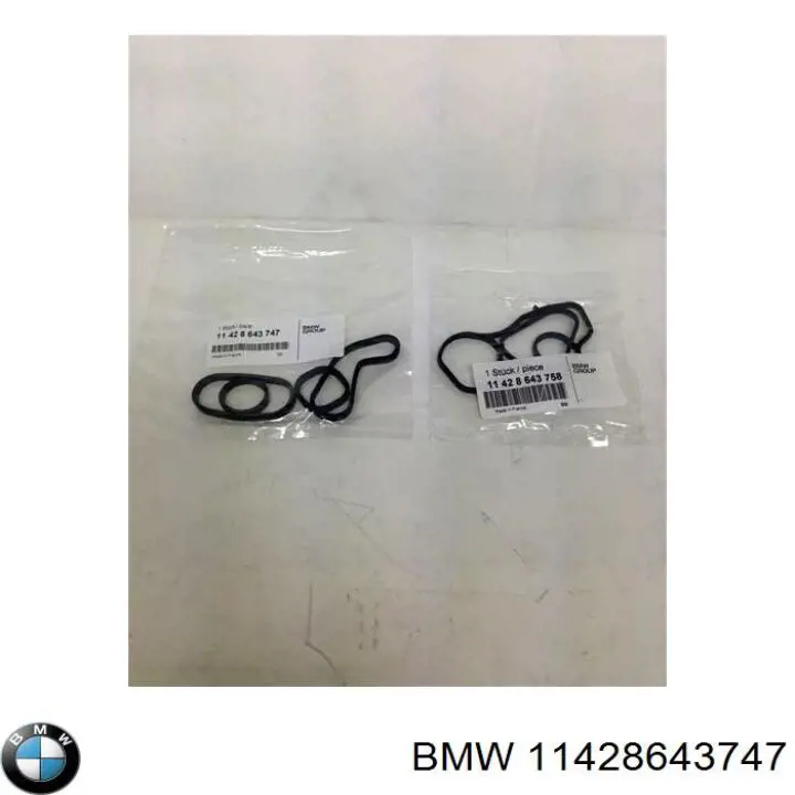 11428643747 BMW junta de radiador de aceite