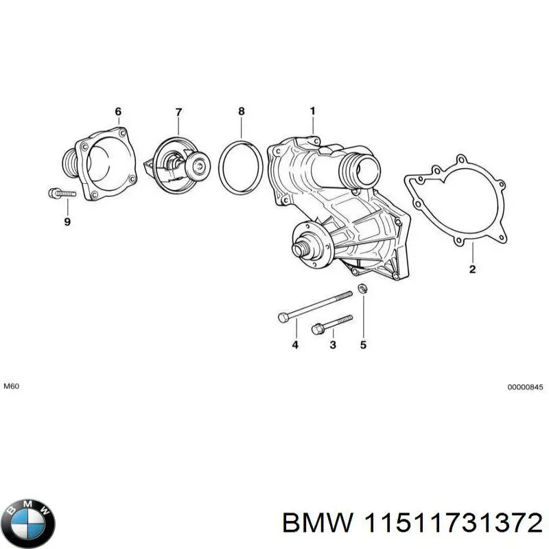 11511731372 BMW junta, bomba de agua