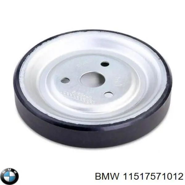 11517571012 BMW polea, bomba de agua