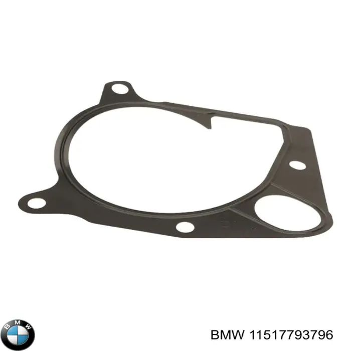 11517793796 BMW junta, bomba de agua