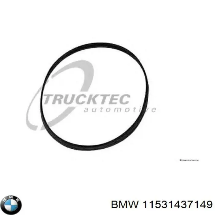 11531437149 BMW 