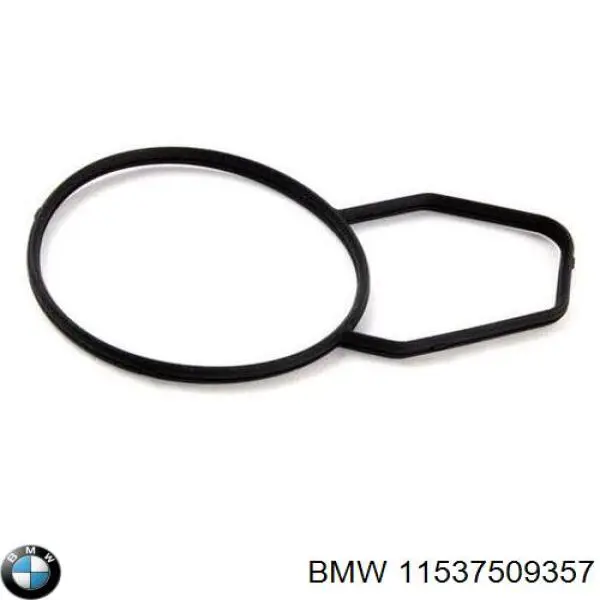 11537509357 BMW junta, termostato