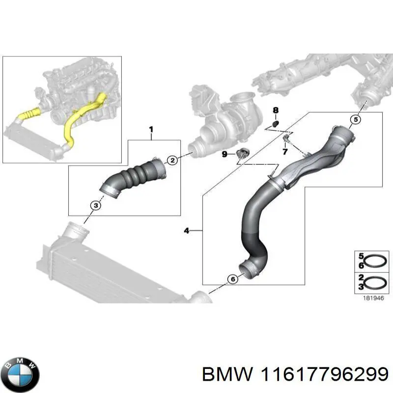 11617796299 BMW tubo flexible de aire de sobrealimentación derecho