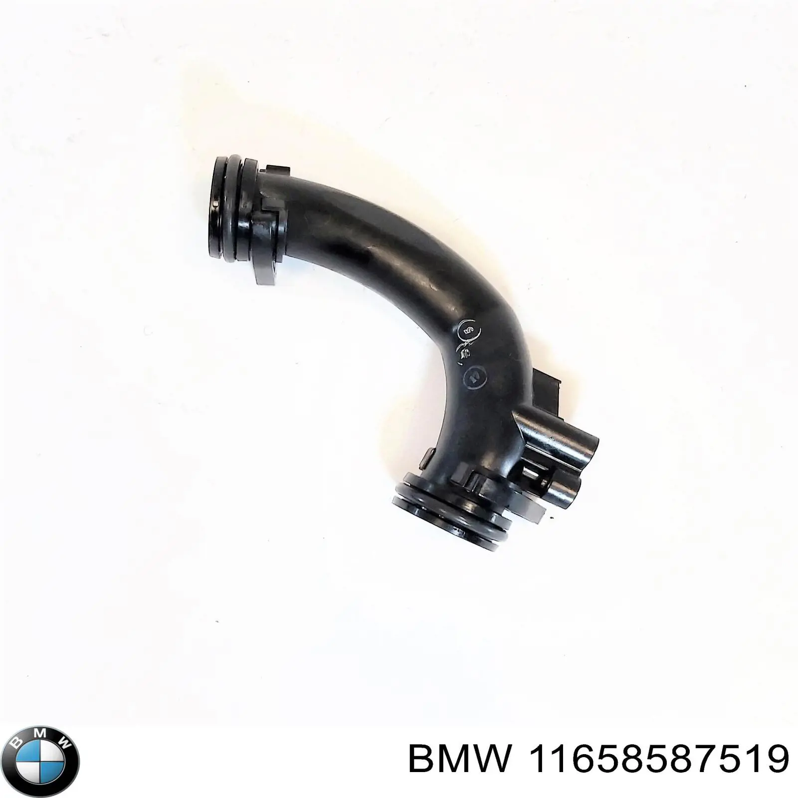 11658587519 BMW 