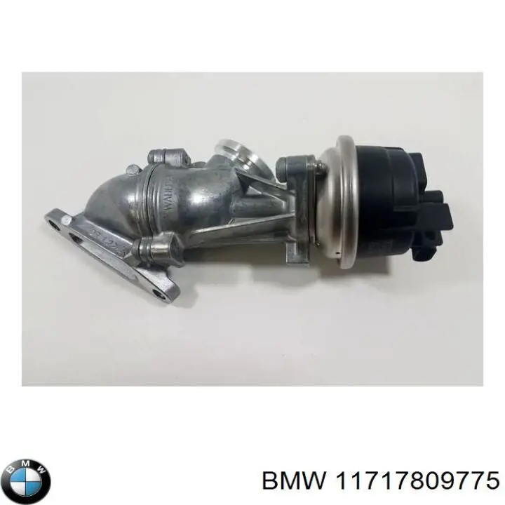 11717809775 BMW junta, adaptador de filtro de aceite