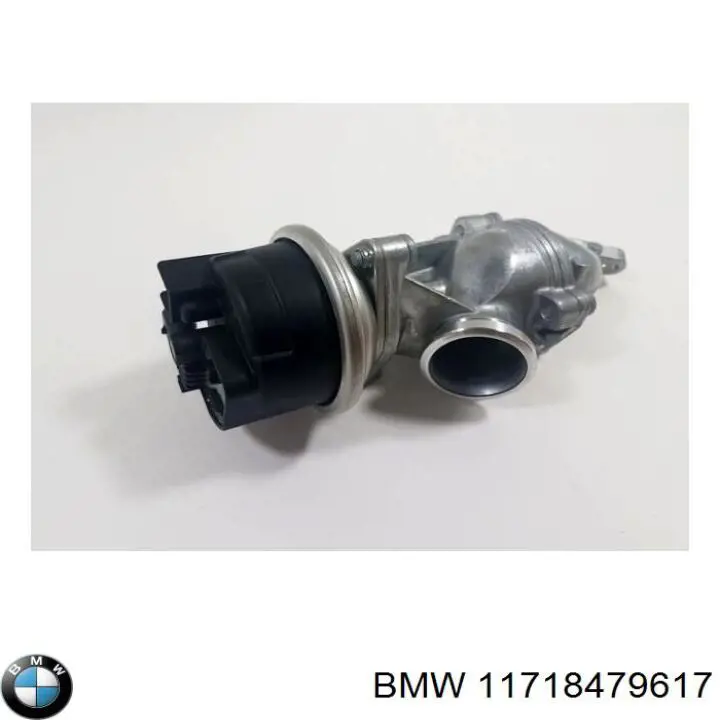 11718479617 BMW válvula, agr