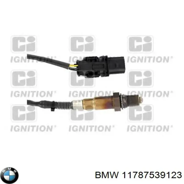 11787539123 BMW 