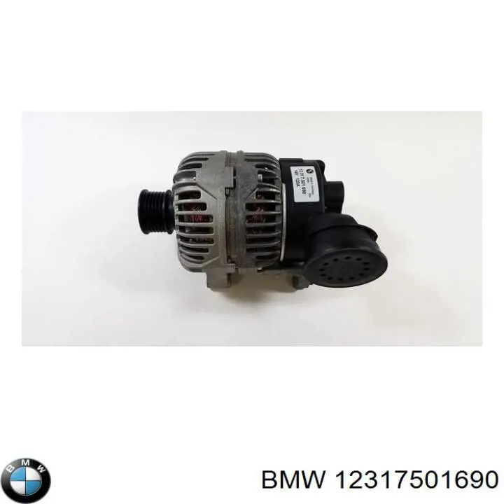 12317501690 BMW alternador