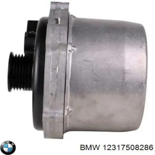 12317508286 BMW alternador