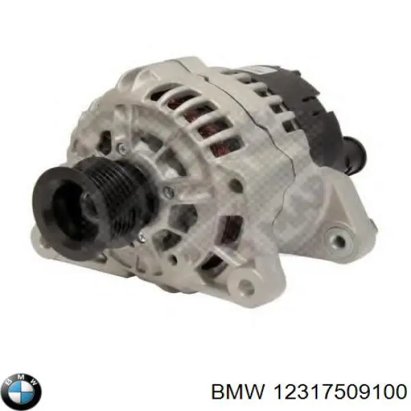 12317509100 BMW alternador