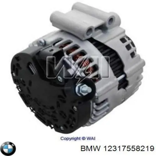 12317558219 BMW alternador