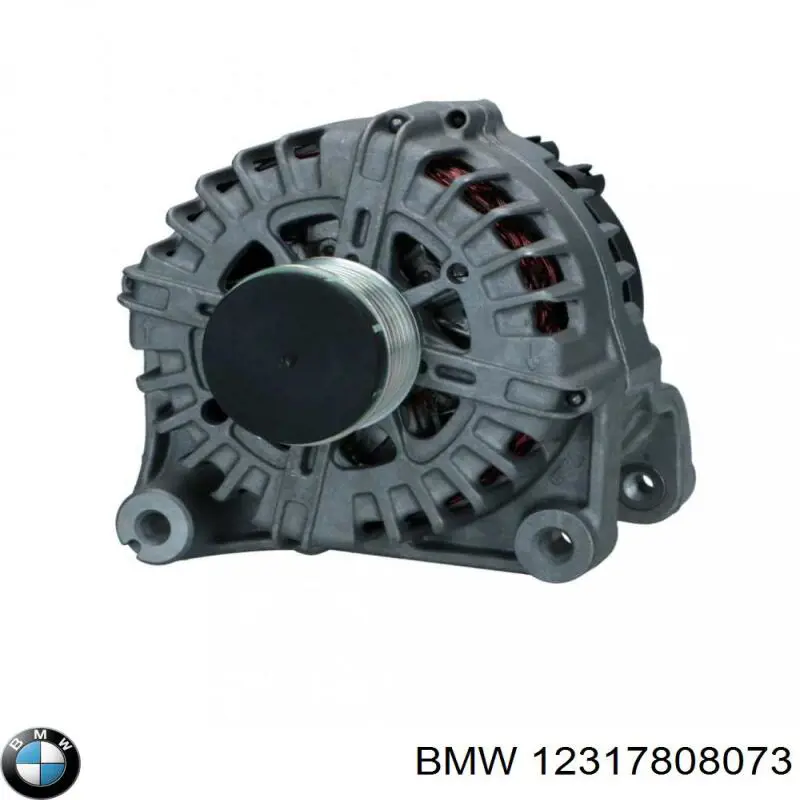 12317808073 BMW alternador