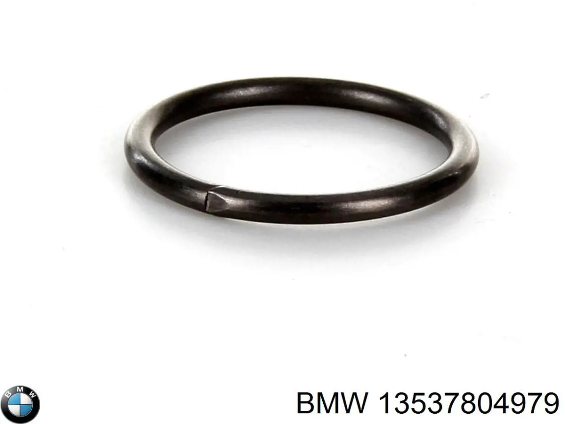 13537804979 BMW junta anular, inyector