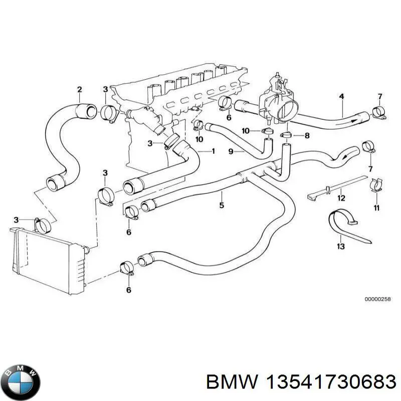 13541730683 BMW tubo de refrigeración, termostato