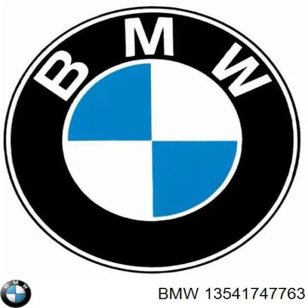 13541747763 BMW cuerpo de mariposa completo