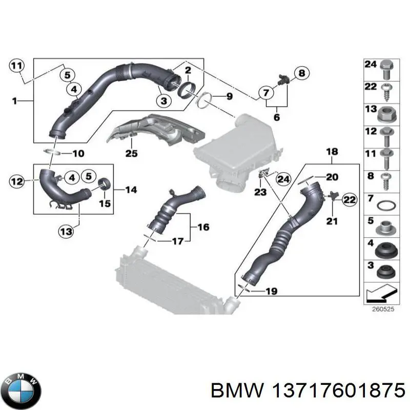 13717601875 BMW tubo flexible de aire de sobrealimentación derecho