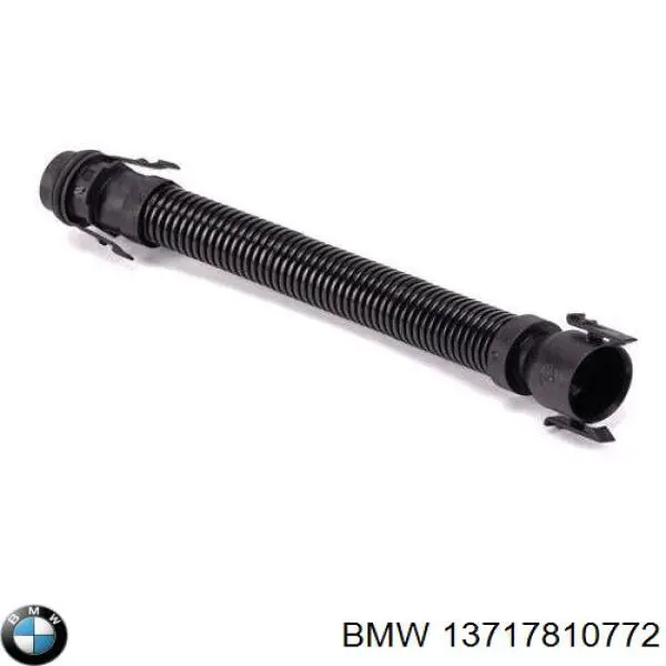 13717810772 BMW tubo de ventilacion del carter (separador de aceite)