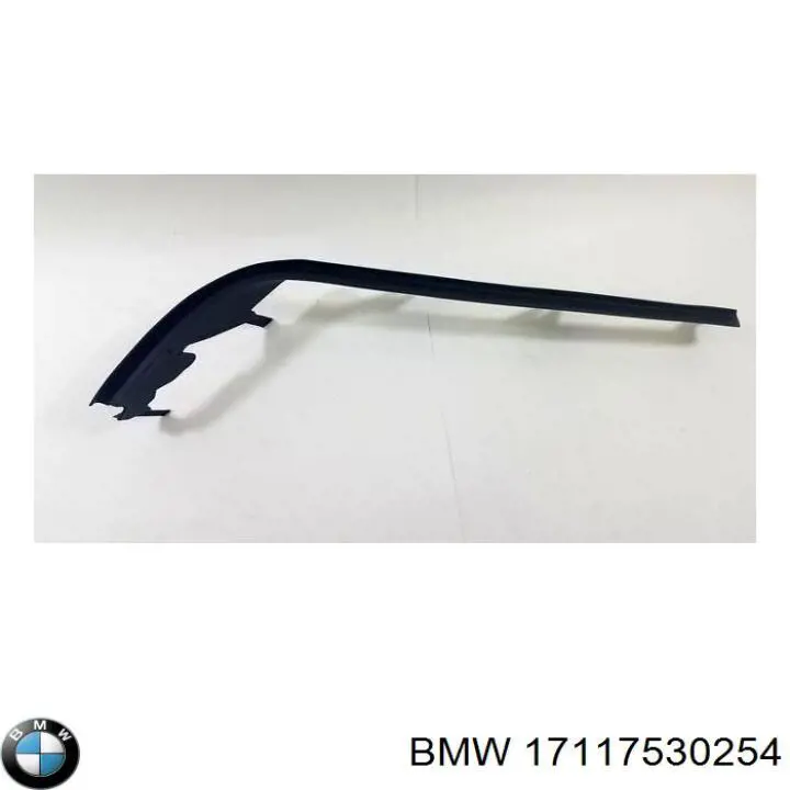 17117530254 BMW 