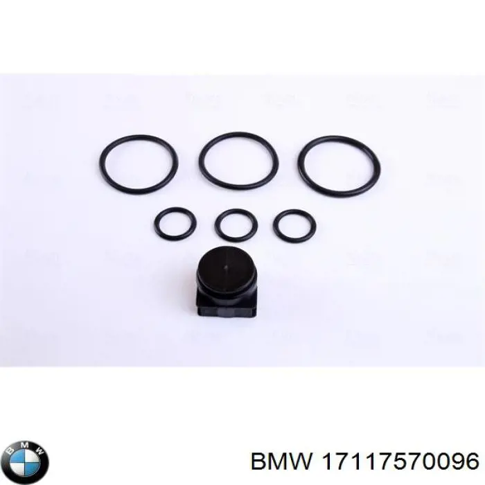 17117570096 BMW radiador refrigeración del motor