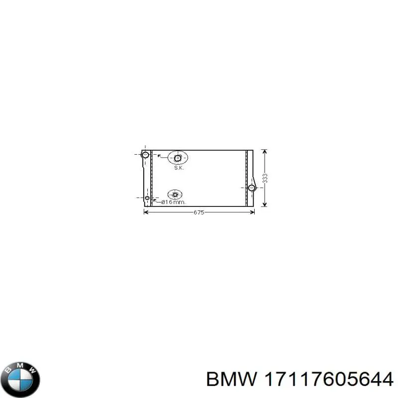 17117605644 BMW 