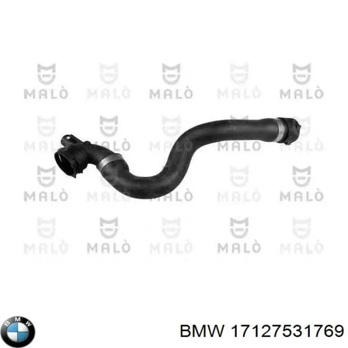 17127531769 BMW manguera refrigerante para radiador inferiora