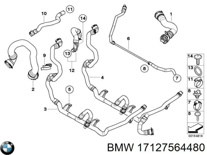 17127564480 BMW manguera refrigerante para radiador inferiora