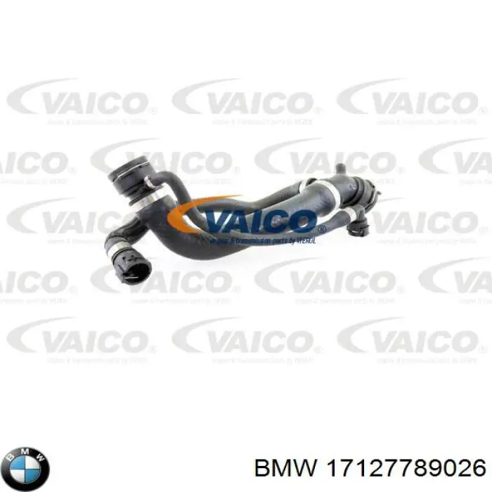 17127789026 BMW 