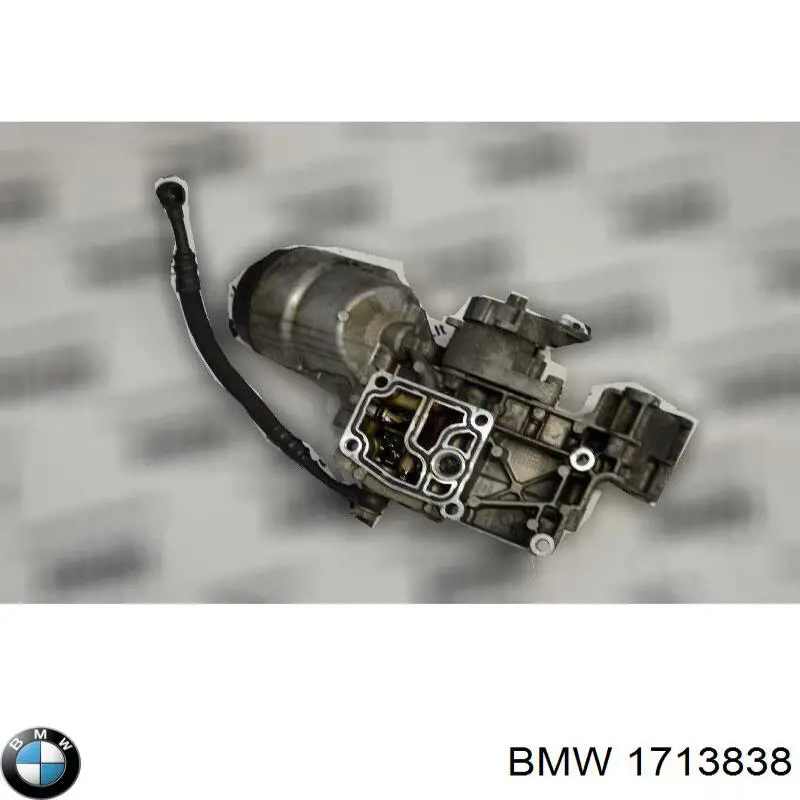 1713838 BMW caja, filtro de aceite