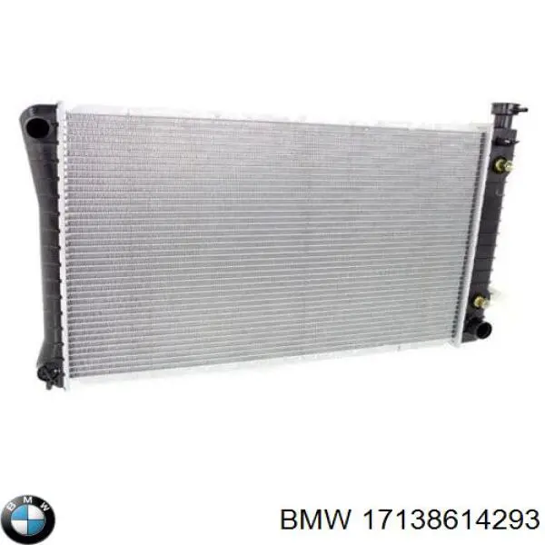 17138614293 BMW botella de refrigeración