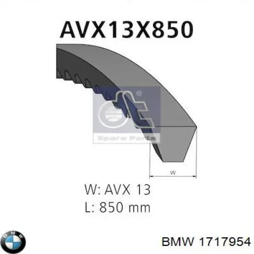 1717954 BMW correa trapezoidal