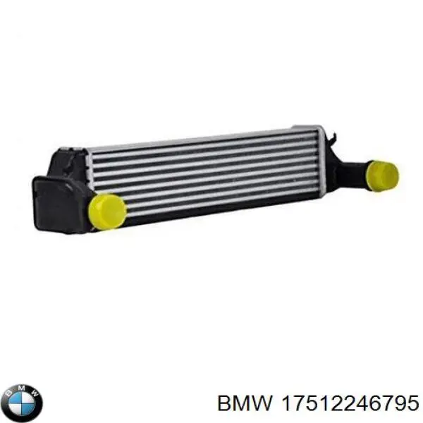 17512246795 BMW radiador de aire de admisión