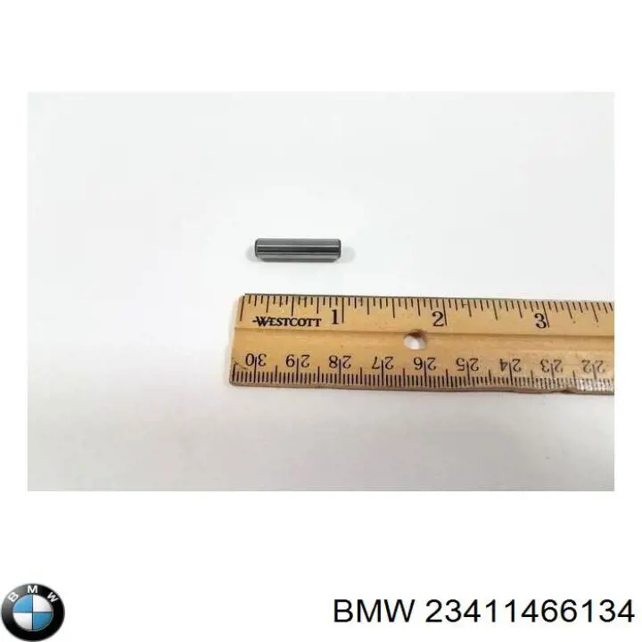 23411466134 BMW 