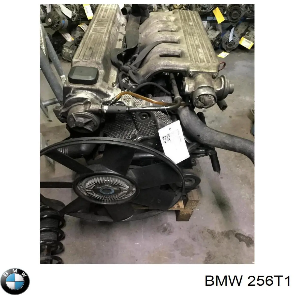 256T1 BMW caja de cambios mecánica, completa