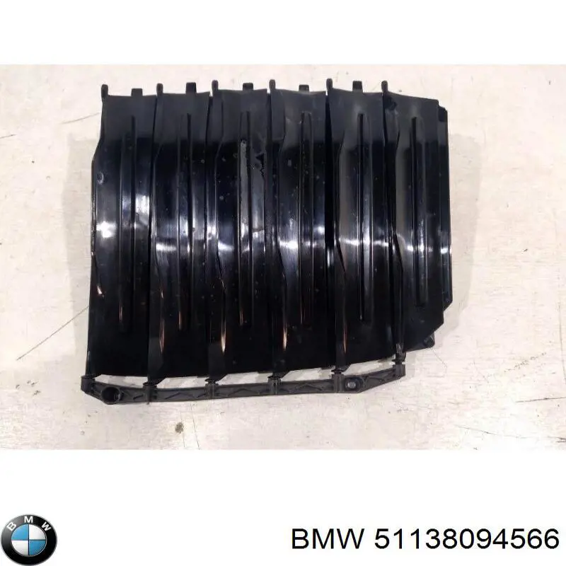 51138094566 BMW 