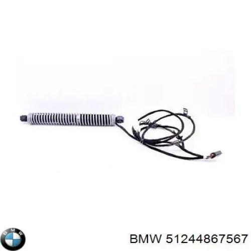 51244867567 BMW 