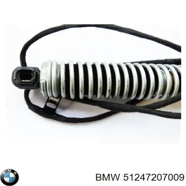 51247207009 BMW 