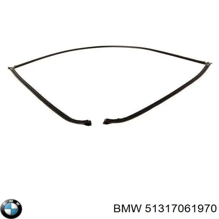 51317061970 BMW 