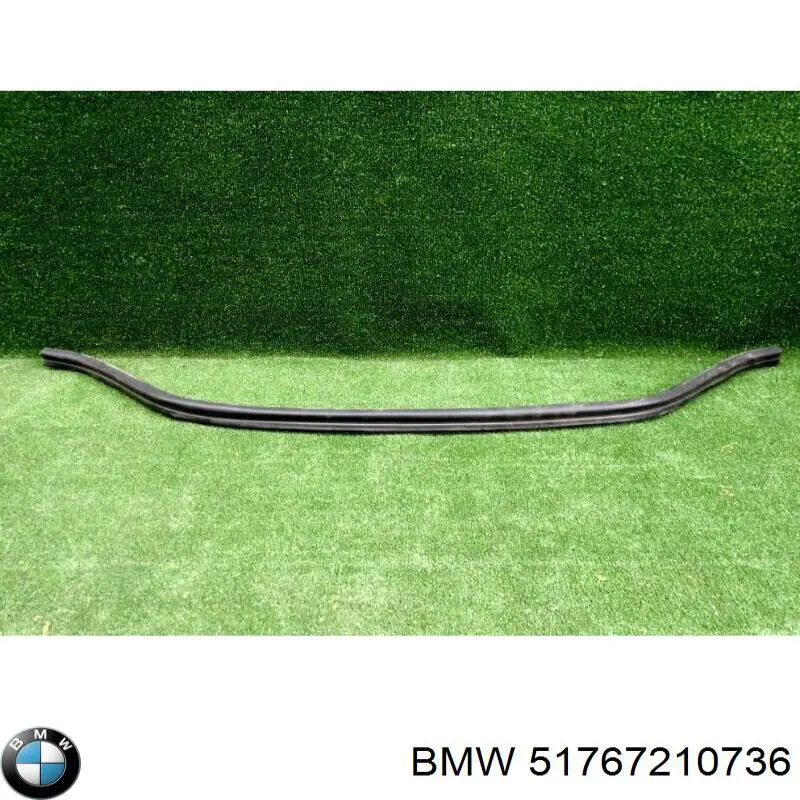 51767210736 BMW sello del capo