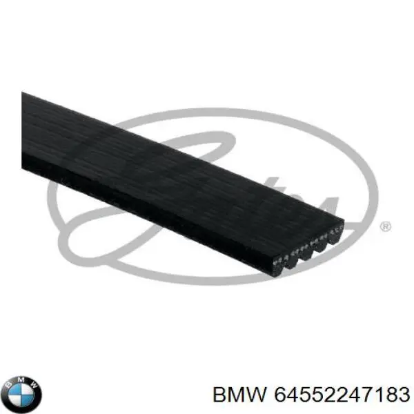 64552247183 BMW correa trapezoidal