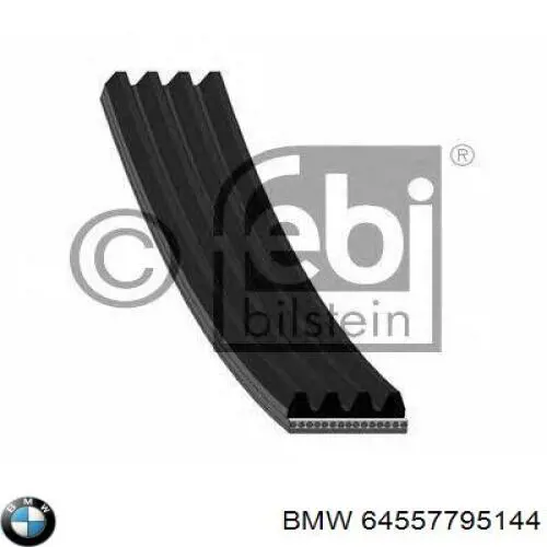 64557795144 BMW correa trapezoidal