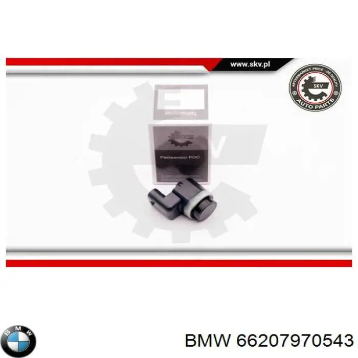 66207970543 BMW 