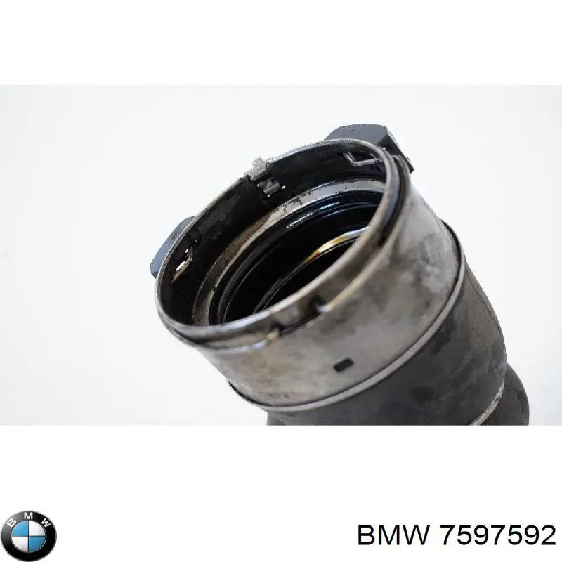 7597592 BMW 