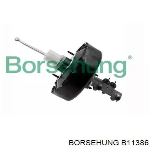 B11386 Borsehung 