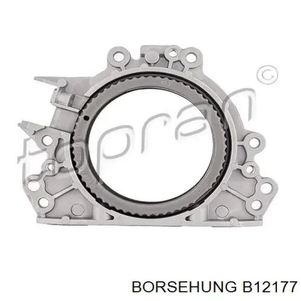 B12177 Borsehung anillo retén, cigüeñal