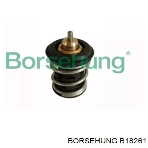 B18261 Borsehung termostato, refrigerante