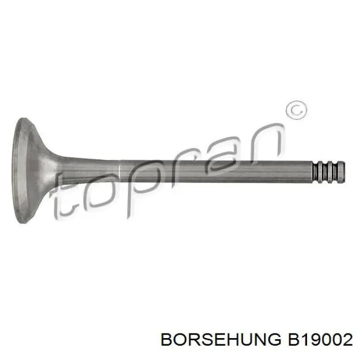 B19002 Borsehung válvula de escape