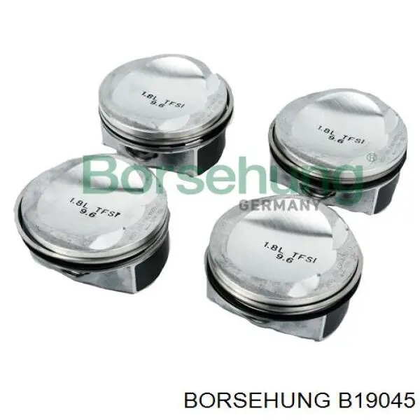 B19045 Borsehung 